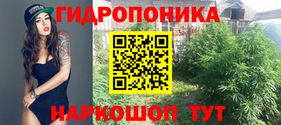 эйфоретик Коммунар