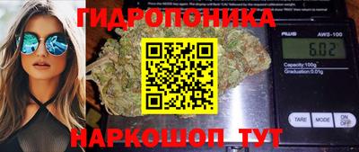 эйфоретик Коммунар
