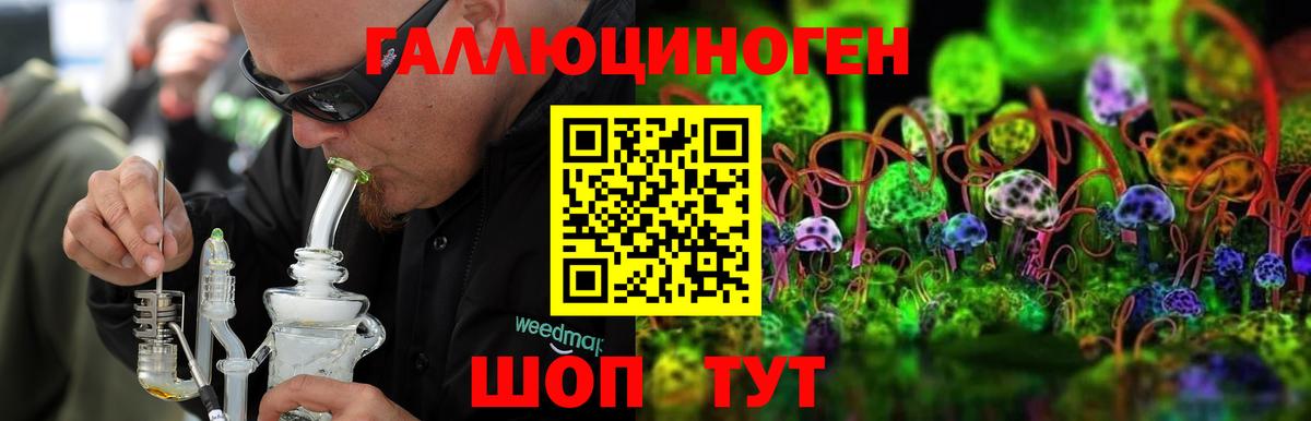 Коммунар  наркота  Вход с VPN  Галлюциногенные грибы Psilocybe 